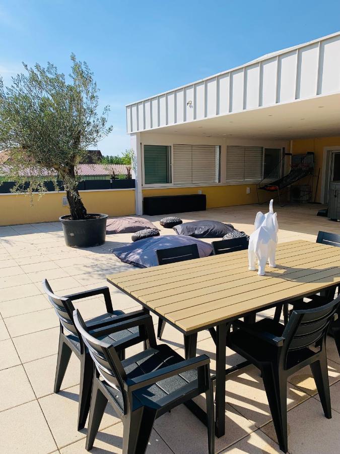 La Terrasse Du Parc Appartement Marckolsheim Buitenkant foto