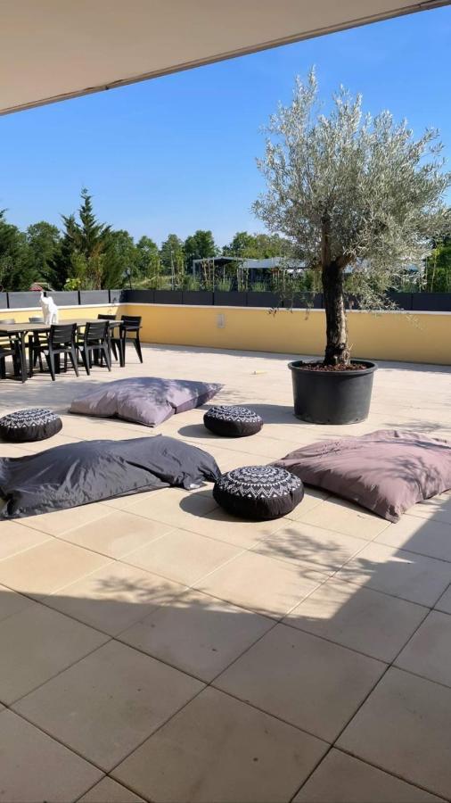 La Terrasse Du Parc Appartement Marckolsheim Buitenkant foto
